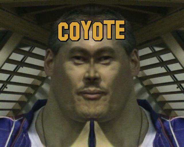 Coyote